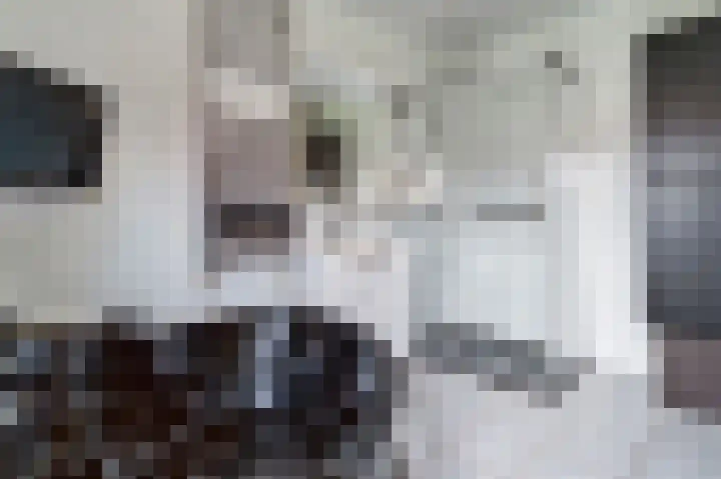 Onze Lieve Vrouwestraat 112 Zegge thumbnail 25