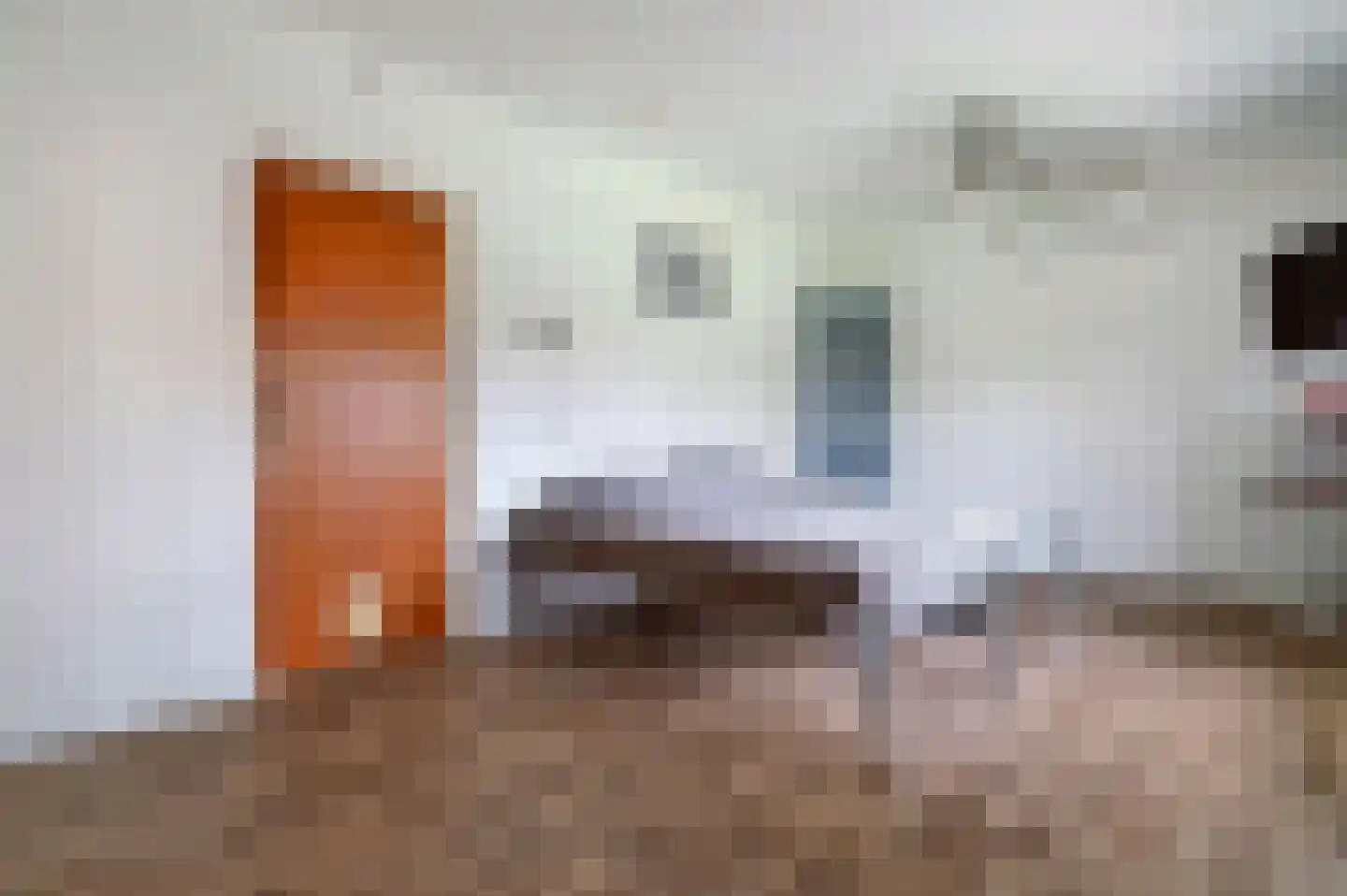 Onze Lieve Vrouwestraat 112 Zegge thumbnail 30