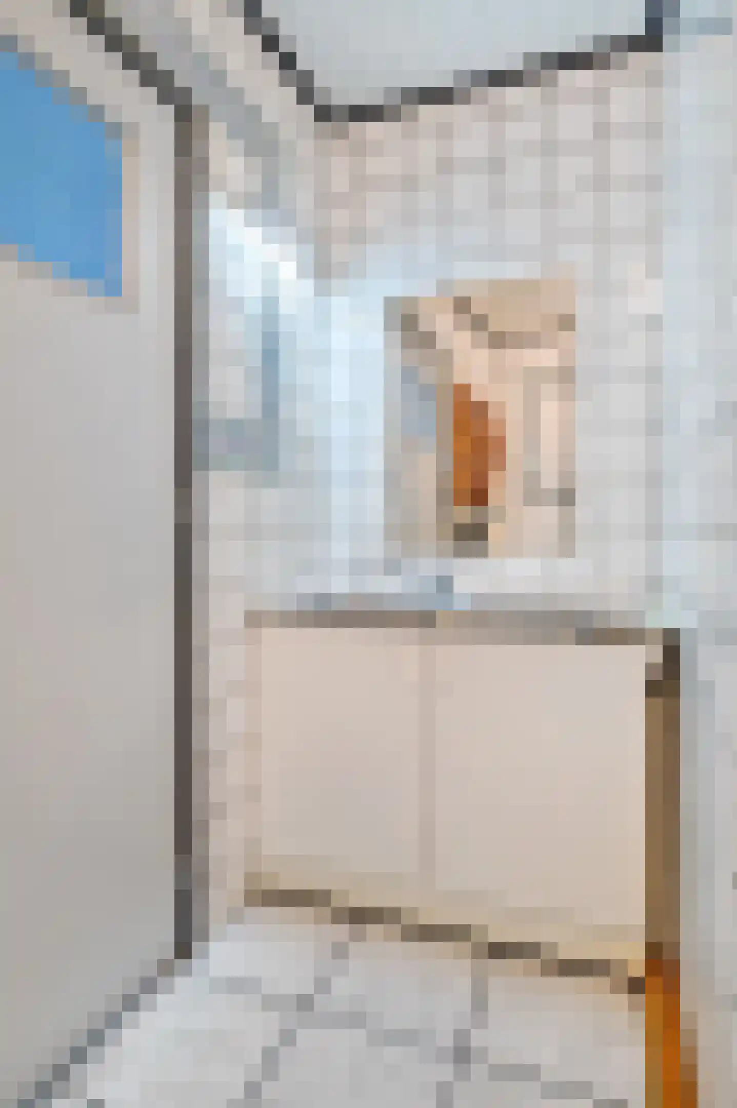 Onze Lieve Vrouwestraat 112 Zegge thumbnail 50
