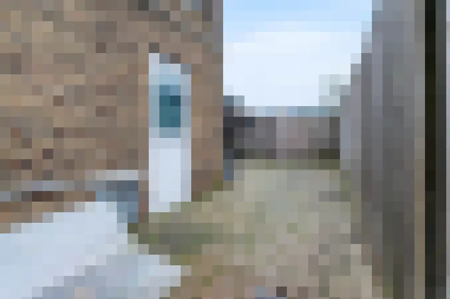 Onze Lieve Vrouwestraat 112 Zegge thumbnail 64