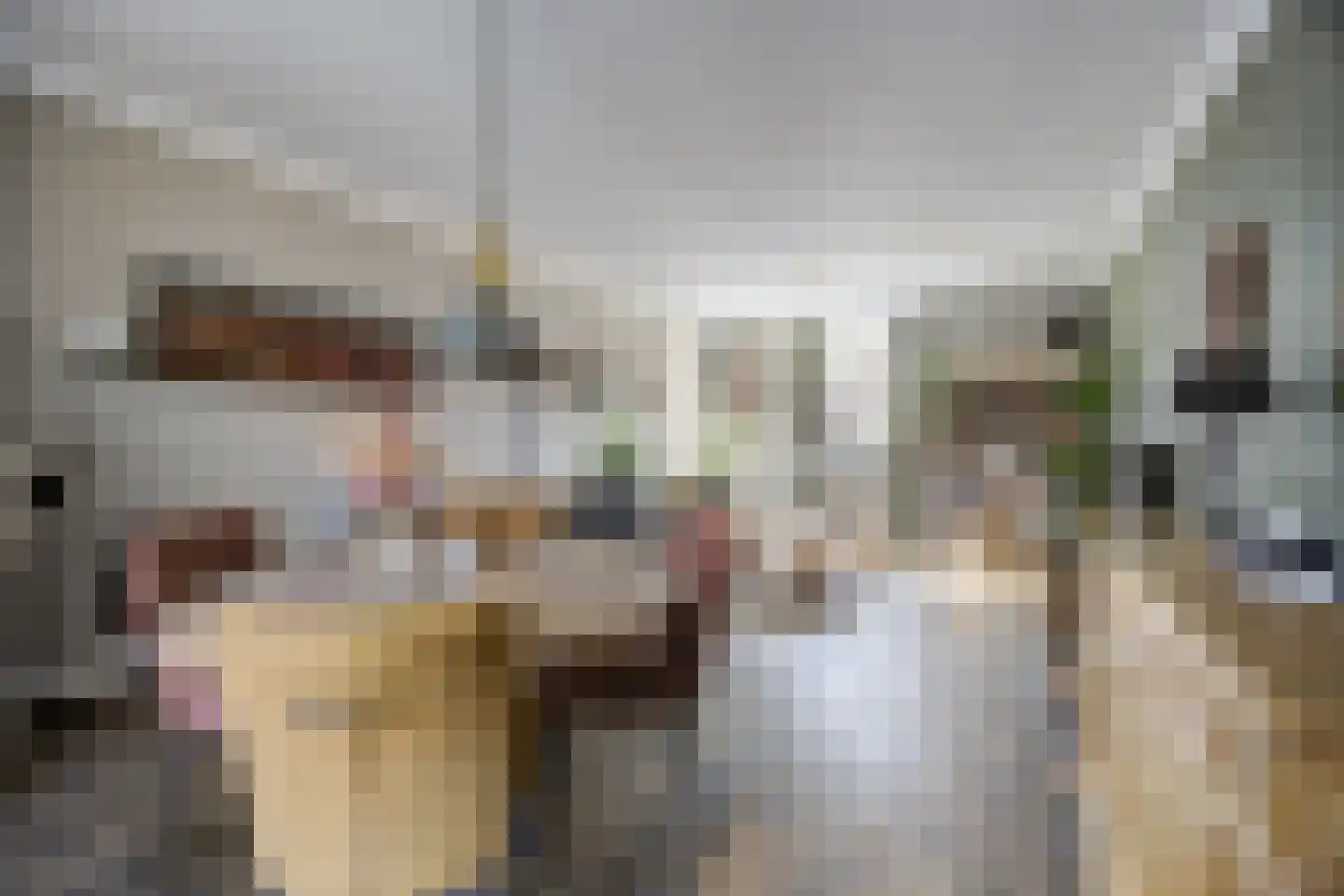 Onze Lieve Vrouwestraat 120 Zegge thumbnail 10