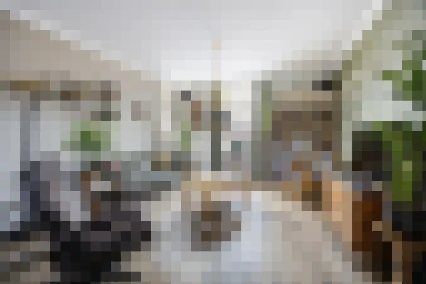 Onze Lieve Vrouwestraat 120 Zegge thumbnail 11