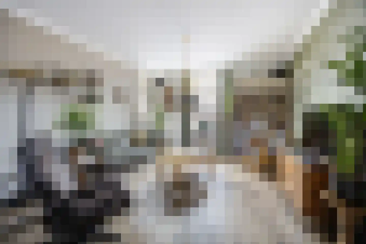 Onze Lieve Vrouwestraat 120 Zegge thumbnail 12