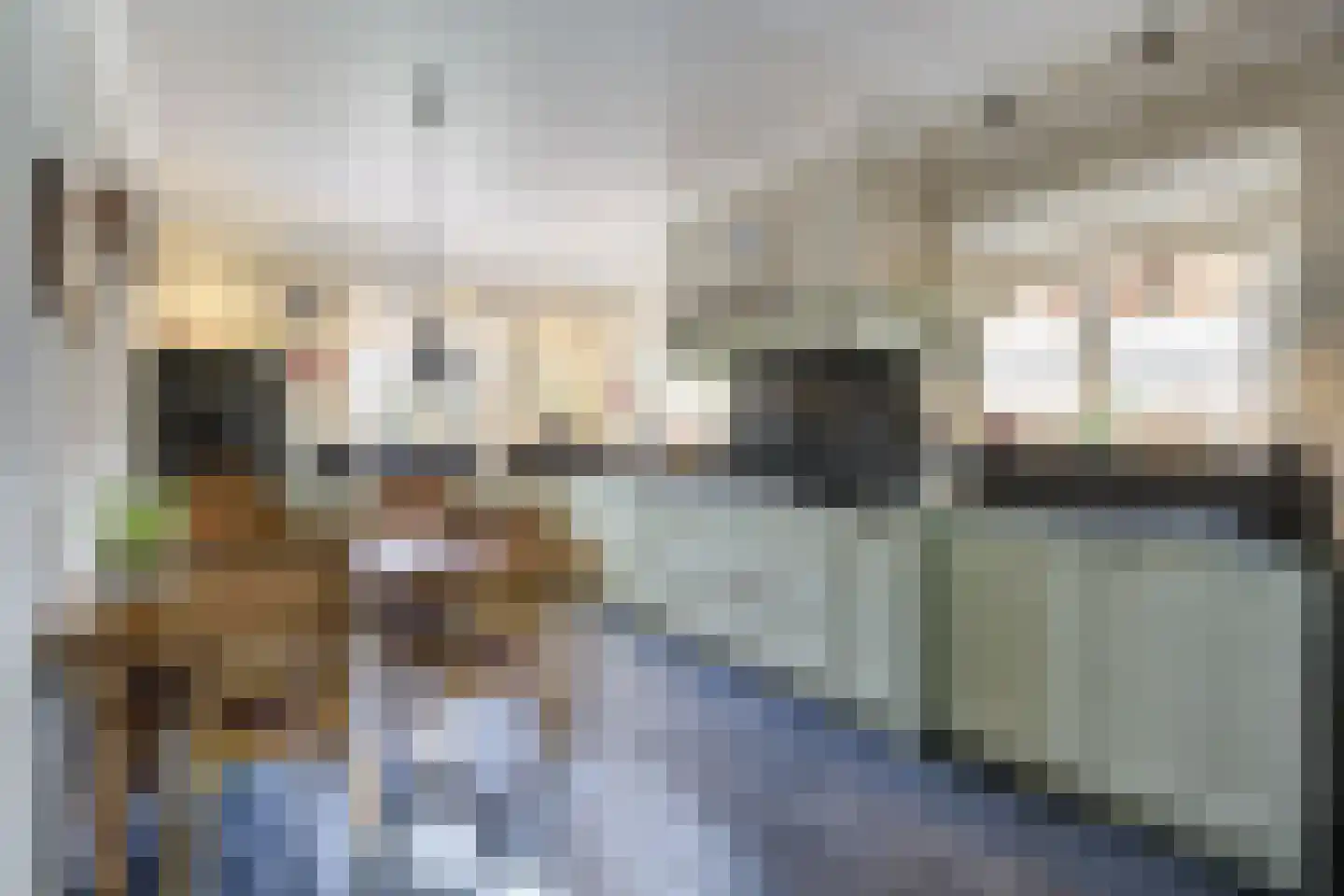 Onze Lieve Vrouwestraat 120 Zegge thumbnail 14