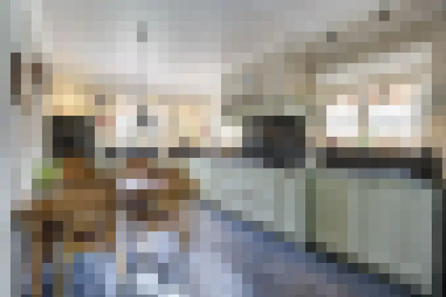 Onze Lieve Vrouwestraat 120 Zegge thumbnail 15