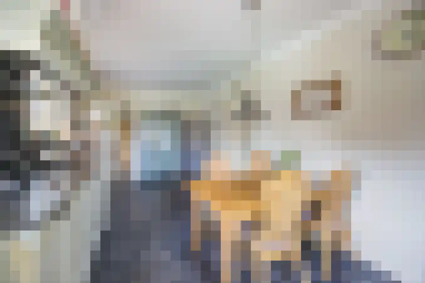 Onze Lieve Vrouwestraat 120 Zegge thumbnail 16