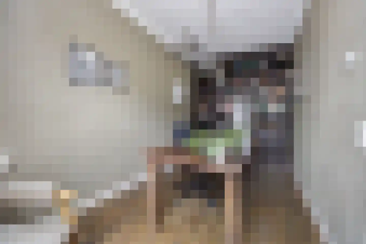 Onze Lieve Vrouwestraat 120 Zegge thumbnail 18