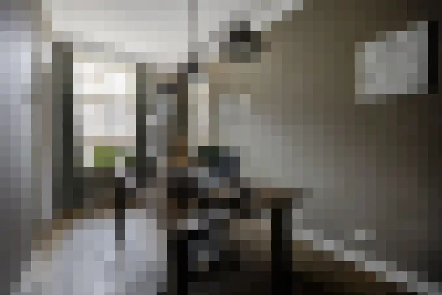 Onze Lieve Vrouwestraat 120 Zegge thumbnail 19