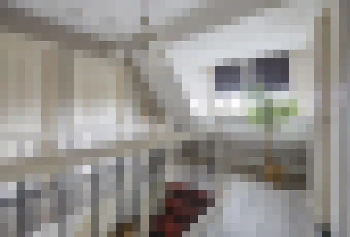 Onze Lieve Vrouwestraat 120 Zegge thumbnail 21