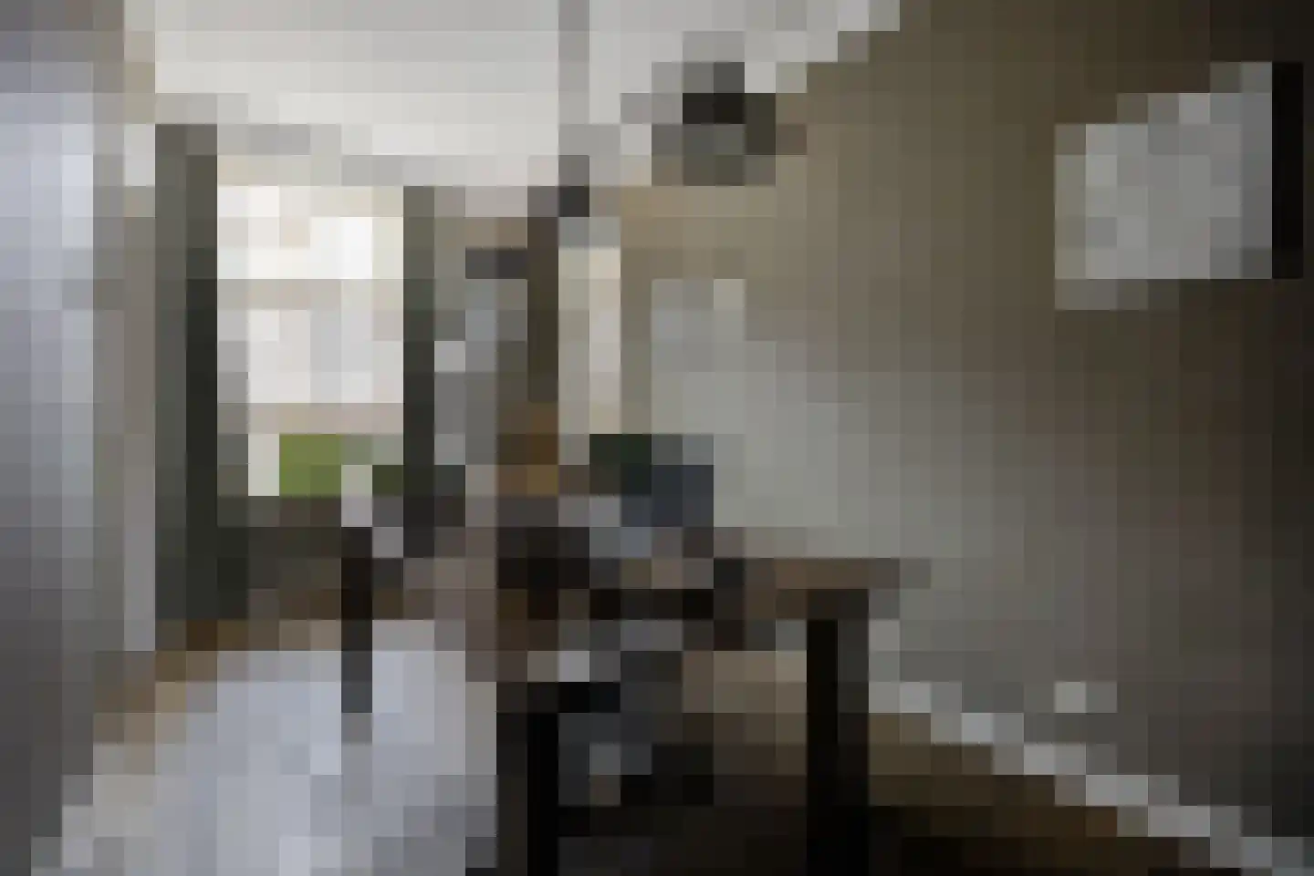 Onze Lieve Vrouwestraat 120 Zegge thumbnail 22