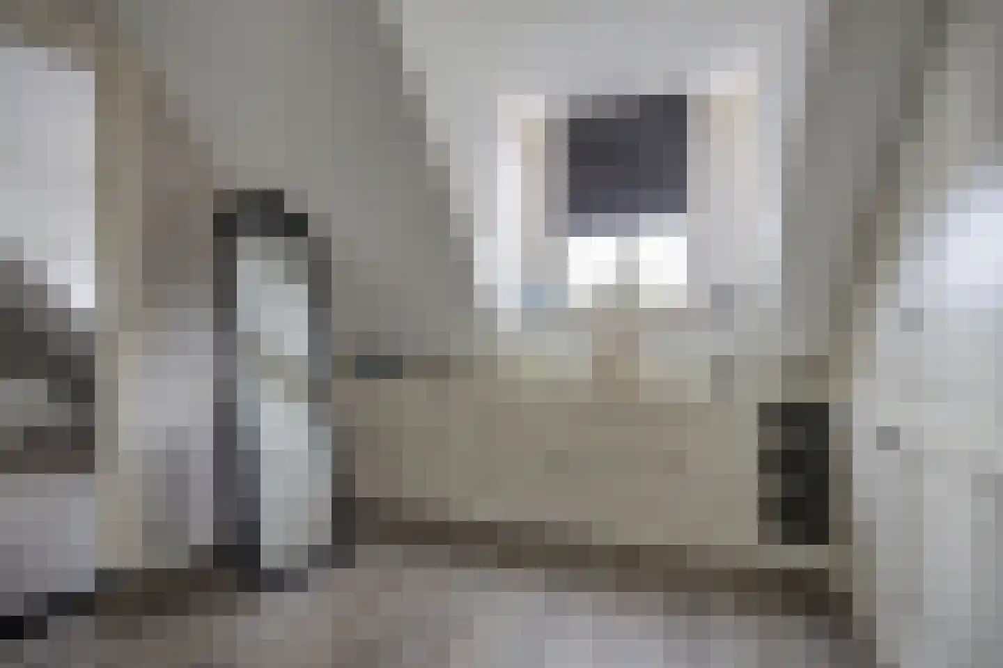 Onze Lieve Vrouwestraat 120 Zegge thumbnail 25