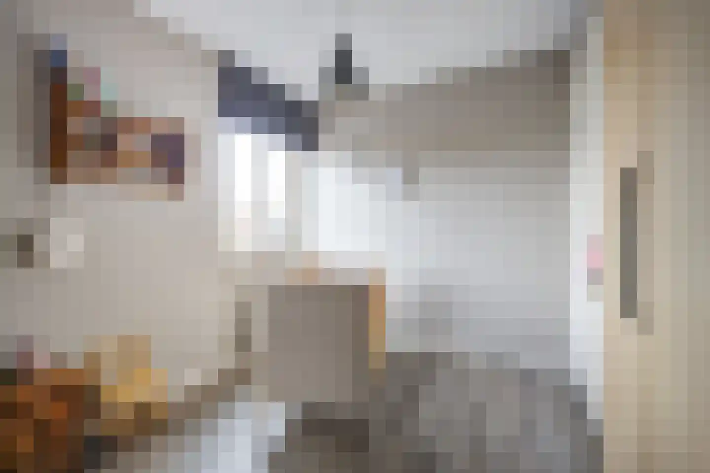 Onze Lieve Vrouwestraat 120 Zegge thumbnail 28