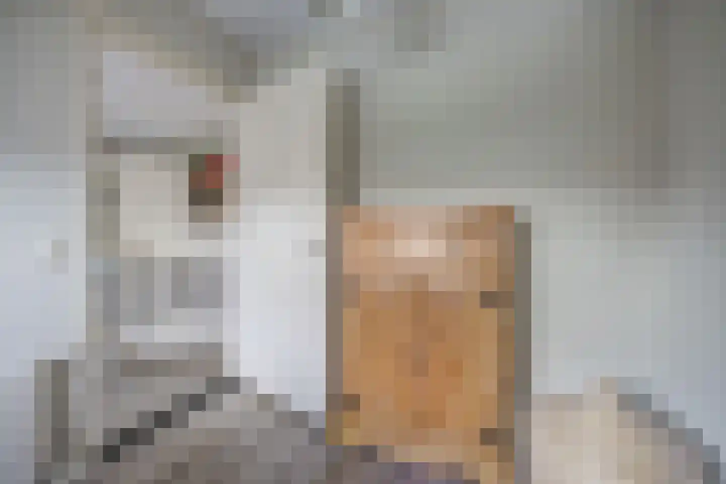 Onze Lieve Vrouwestraat 120 Zegge thumbnail 36