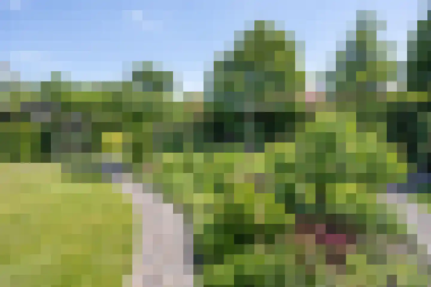 Onze Lieve Vrouwestraat 120 Zegge thumbnail 39