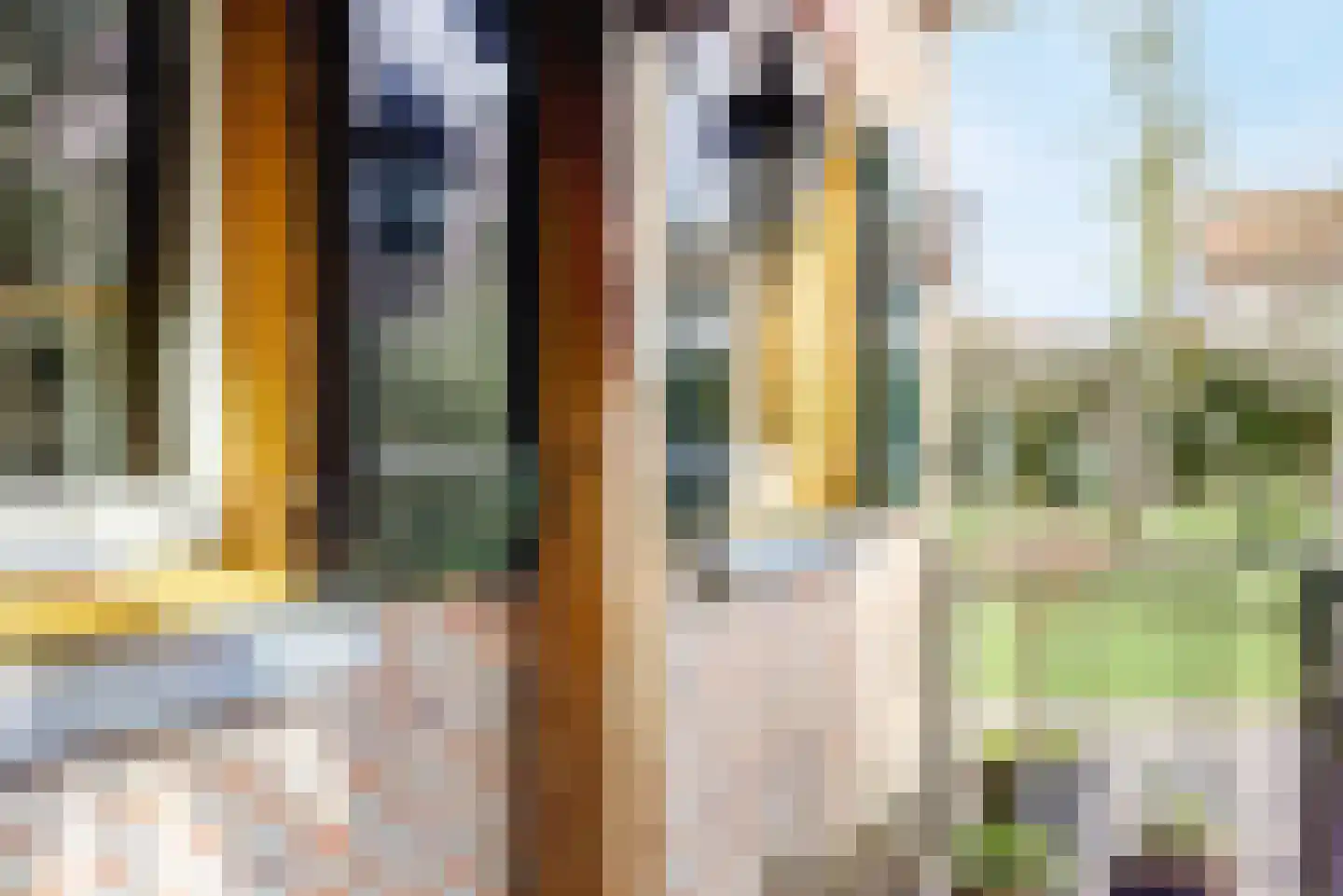 Onze Lieve Vrouwestraat 120 Zegge thumbnail 41