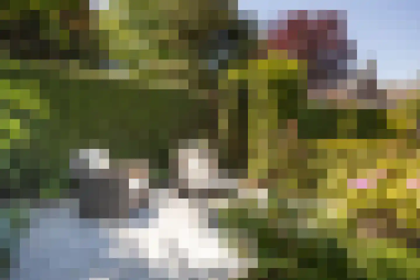 Onze Lieve Vrouwestraat 120 Zegge thumbnail 41