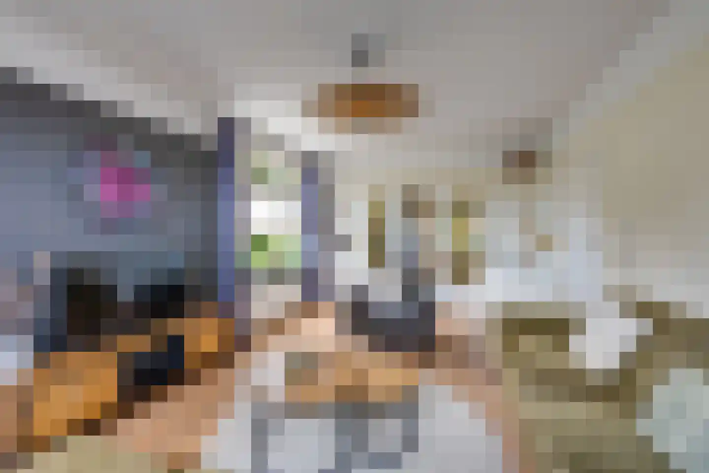 Onze Lieve Vrouwestraat 125 Zegge thumbnail 13