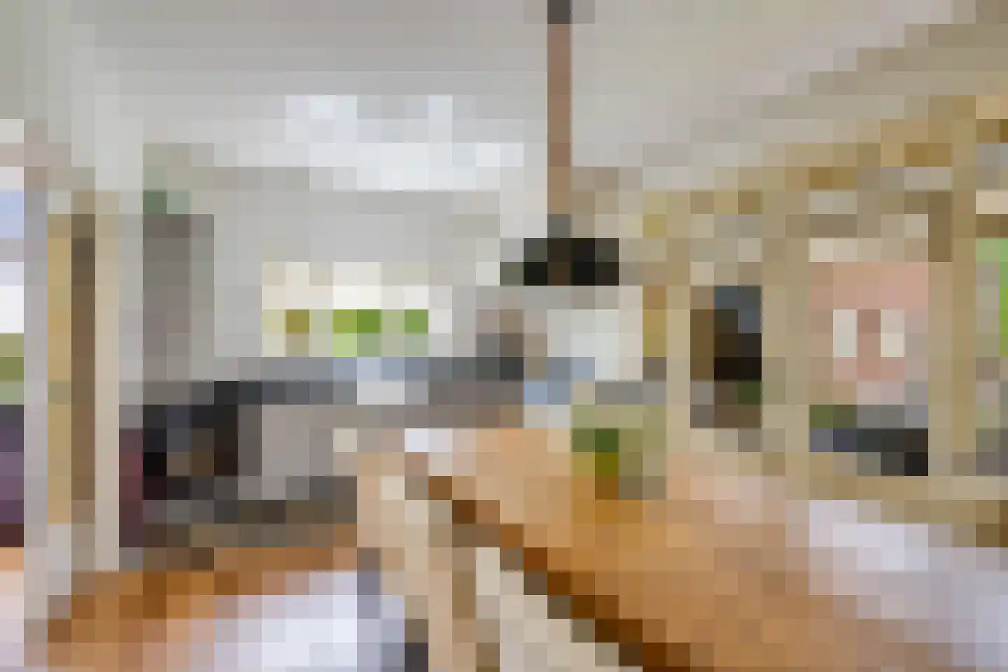 Onze Lieve Vrouwestraat 125 Zegge thumbnail 17