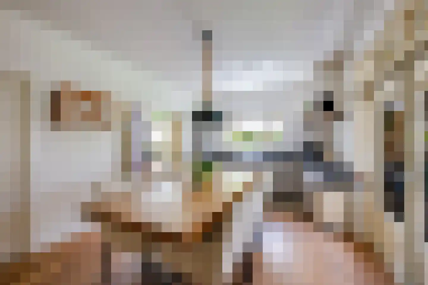 Onze Lieve Vrouwestraat 125 Zegge thumbnail 19