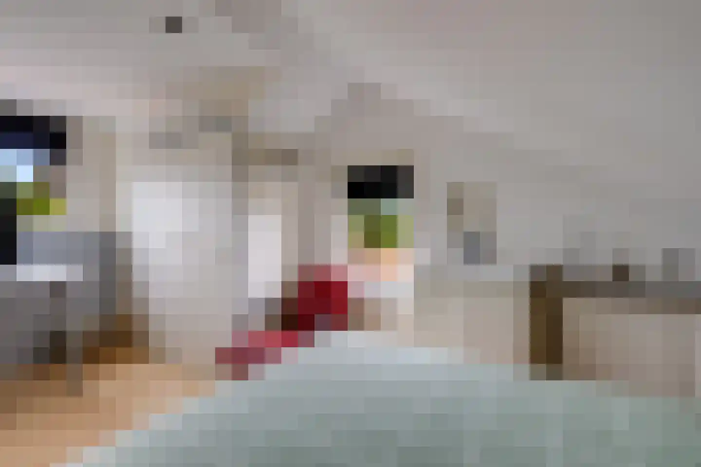 Onze Lieve Vrouwestraat 125 Zegge thumbnail 41