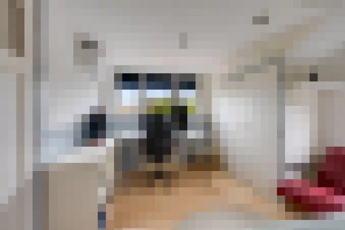 Onze Lieve Vrouwestraat 125 Zegge thumbnail 42