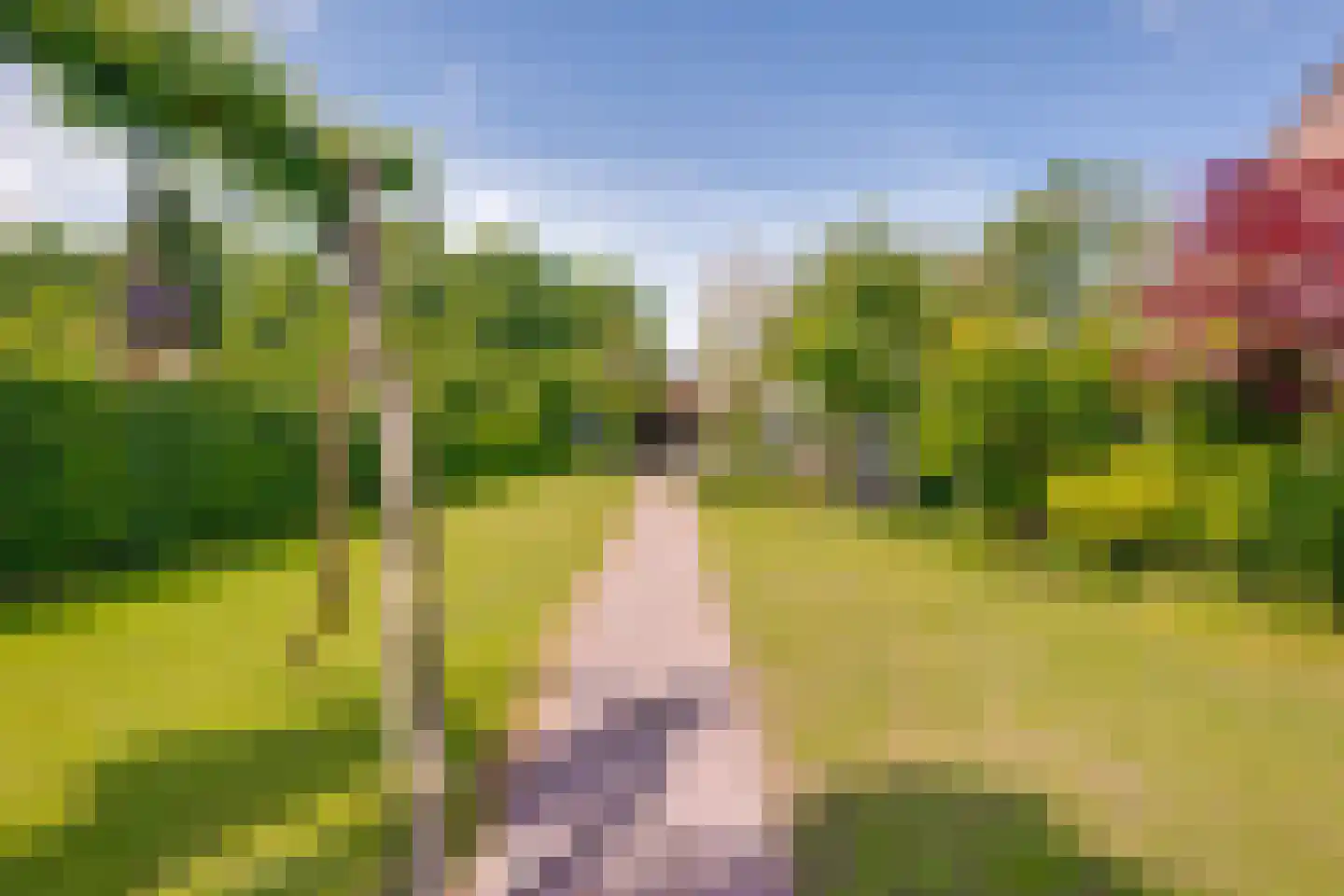Onze Lieve Vrouwestraat 125 Zegge thumbnail 51