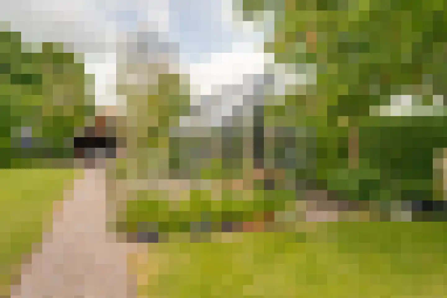 Onze Lieve Vrouwestraat 125 Zegge thumbnail 52