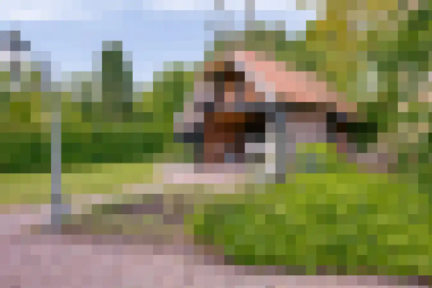 Onze Lieve Vrouwestraat 125 Zegge thumbnail 54
