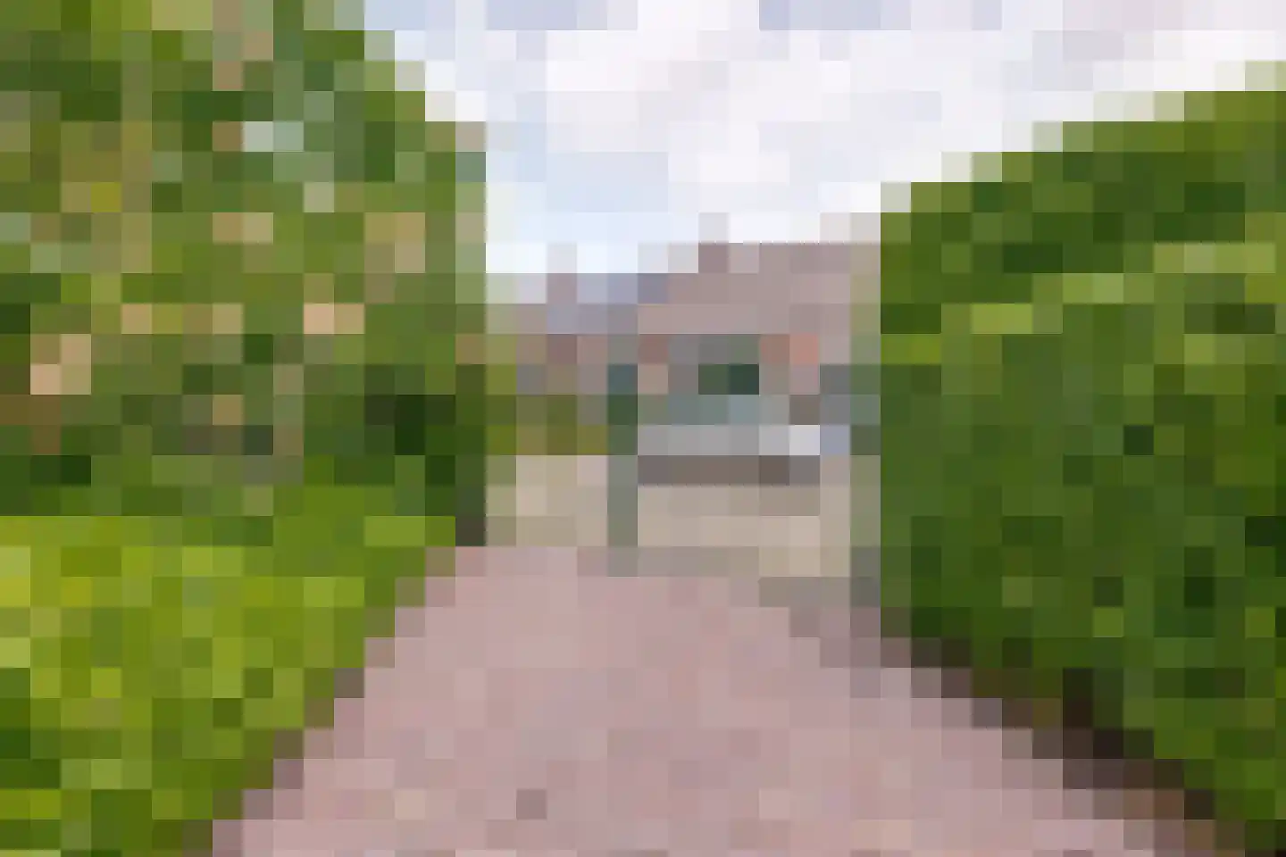 Onze Lieve Vrouwestraat 125 Zegge thumbnail 55