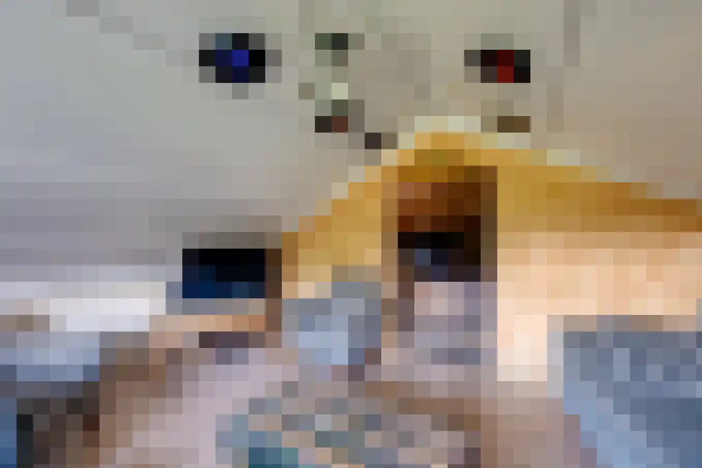 Onze Lieve Vrouwestraat 125 Zegge thumbnail 63