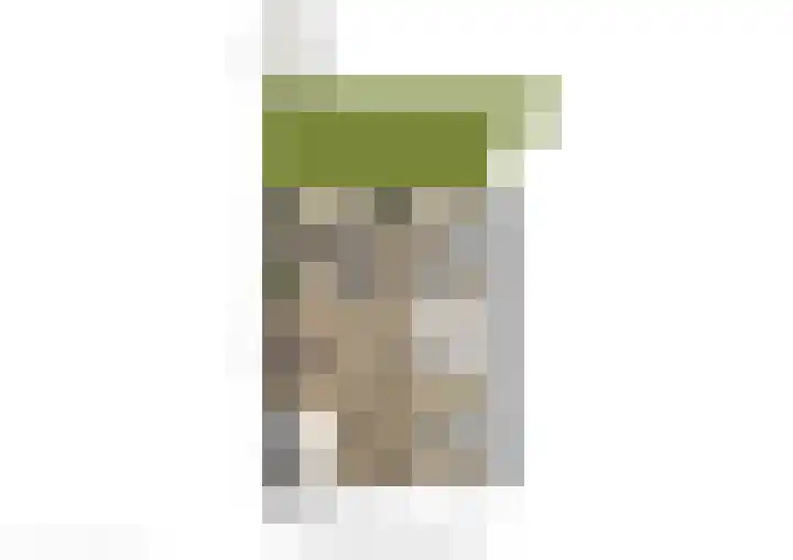 Onze Lieve Vrouwestraat 126 Zegge thumbnail 4