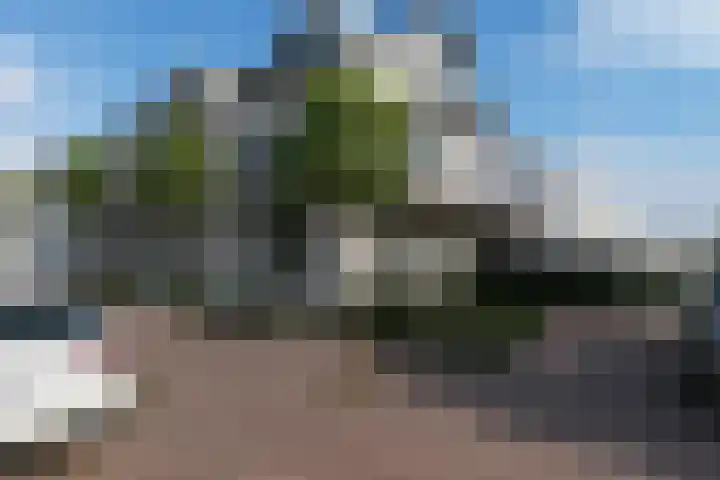 Onze Lieve Vrouwestraat 126 Zegge thumbnail 5