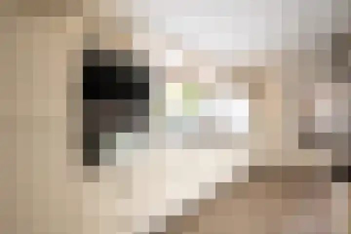 Onze Lieve Vrouwestraat 138 Zegge thumbnail 17