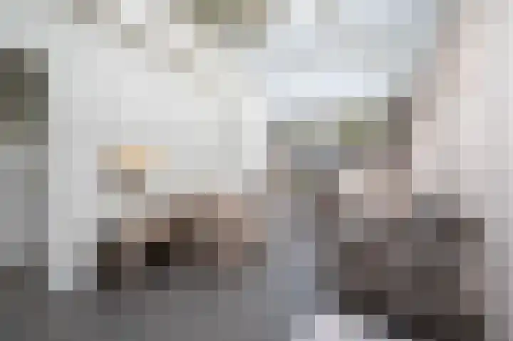 Onze Lieve Vrouwestraat 138 Zegge thumbnail 23