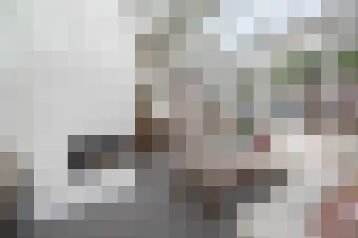 Onze Lieve Vrouwestraat 138 Zegge thumbnail 25