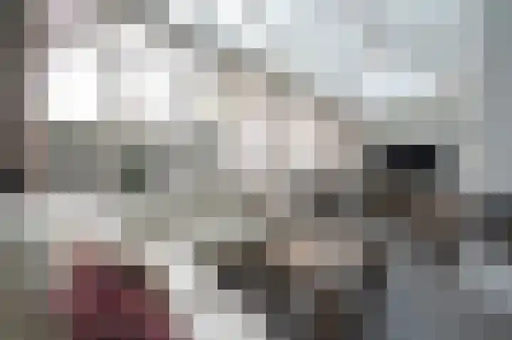 Onze Lieve Vrouwestraat 138 Zegge thumbnail 26