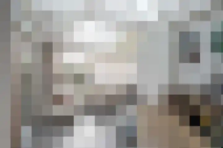 Onze Lieve Vrouwestraat 138 Zegge thumbnail 28