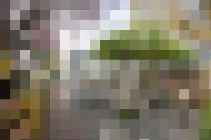 Onze Lieve Vrouwestraat 138 Zegge thumbnail 30