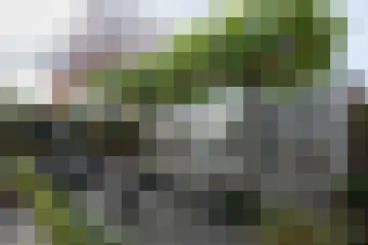 Onze Lieve Vrouwestraat 138 Zegge thumbnail 31