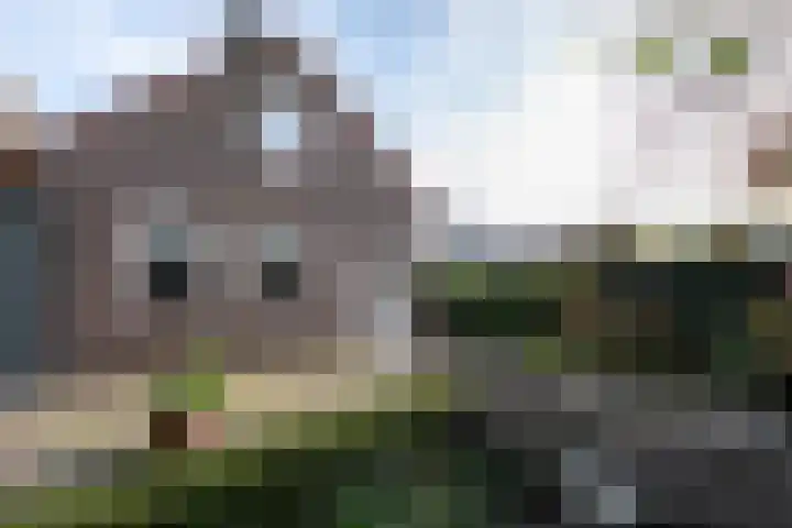 Onze Lieve Vrouwestraat 138 Zegge thumbnail 33
