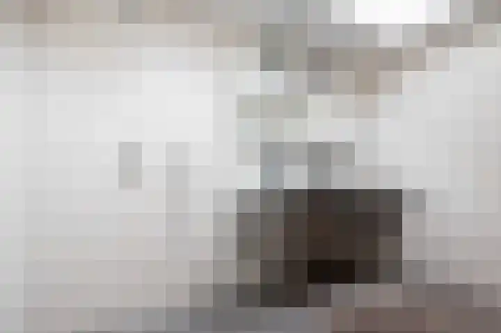 Onze Lieve Vrouwestraat 138 Zegge thumbnail 41