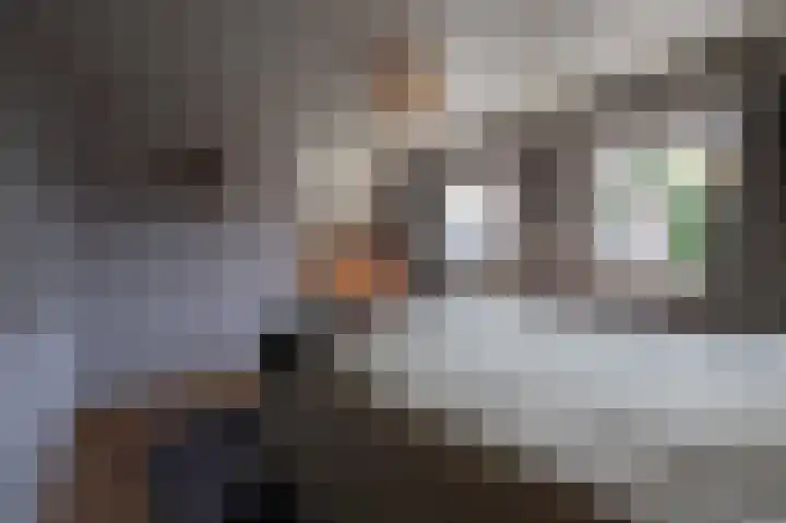 Onze Lieve Vrouwestraat 138 Zegge thumbnail 43