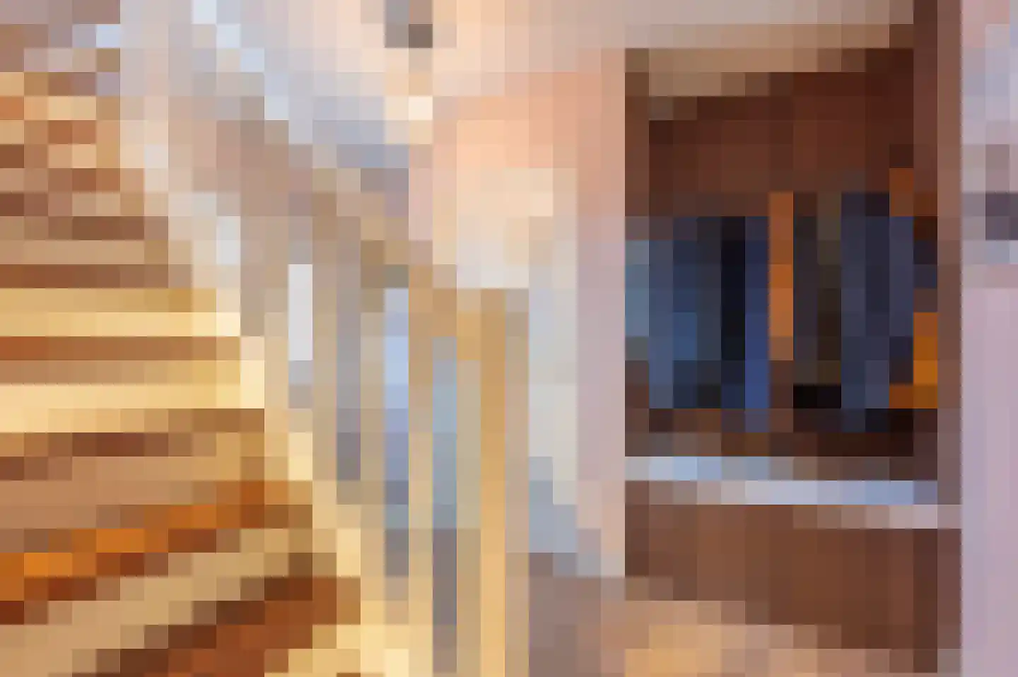 Onze Lieve Vrouwestraat 171 Zegge thumbnail 10