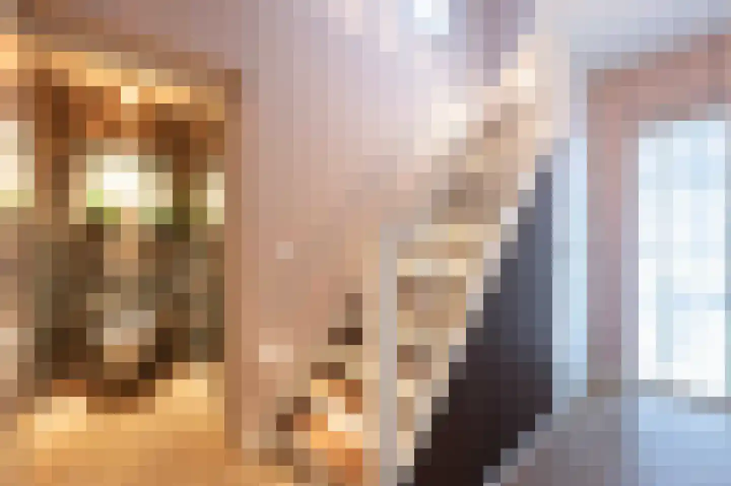 Onze Lieve Vrouwestraat 171 Zegge thumbnail 11