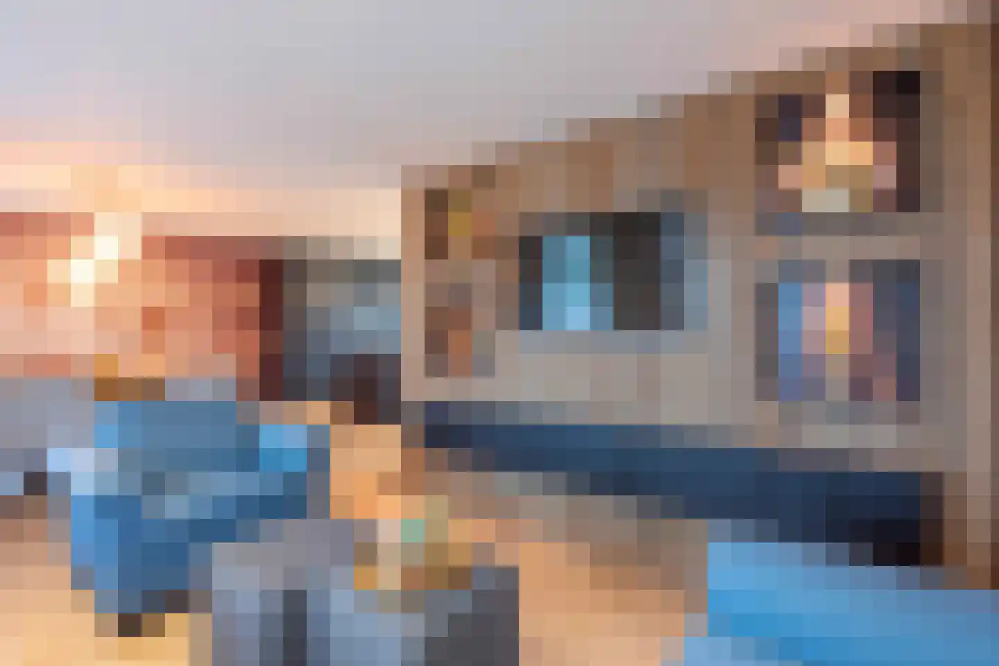 Onze Lieve Vrouwestraat 171 Zegge thumbnail 18