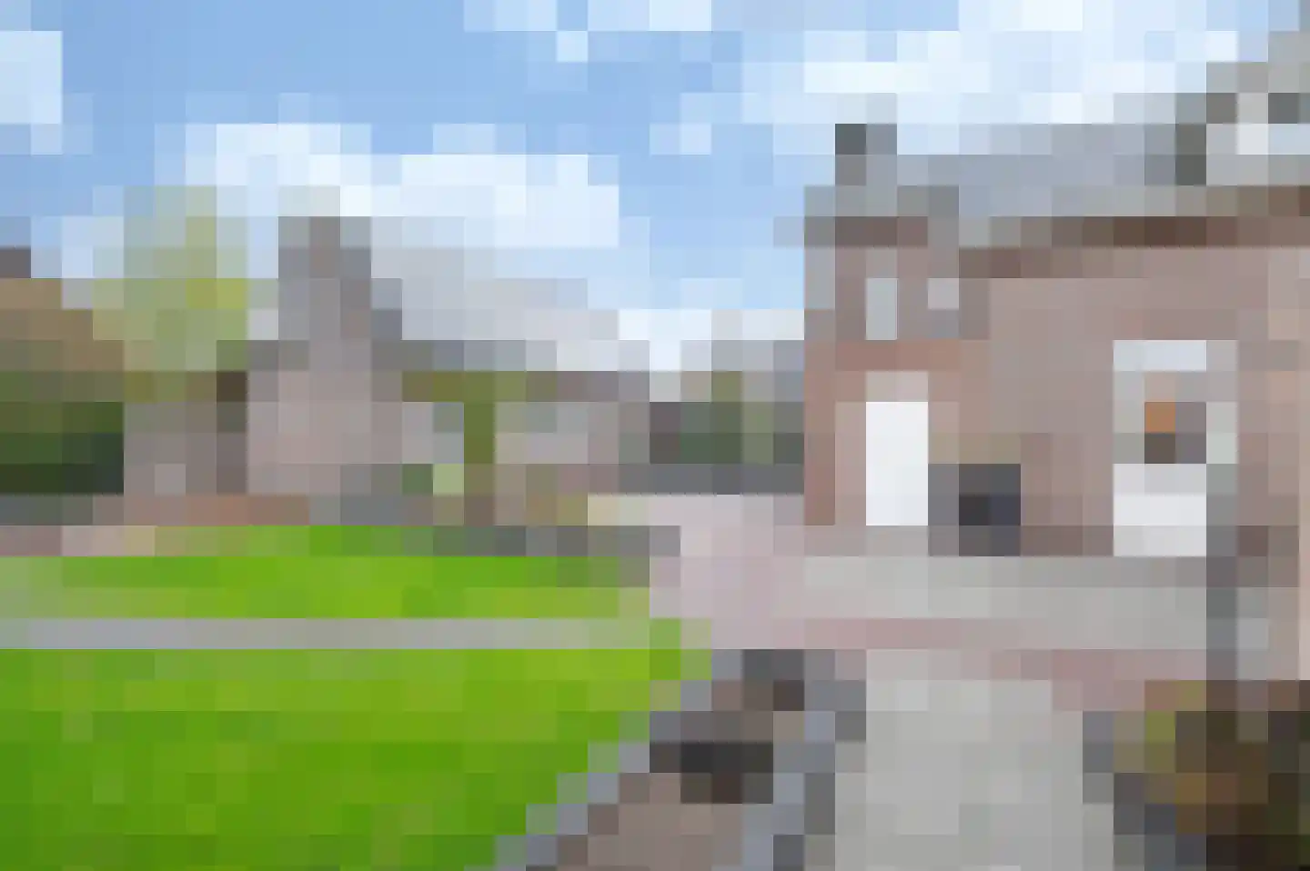 Onze Lieve Vrouwestraat 171 Zegge thumbnail 23