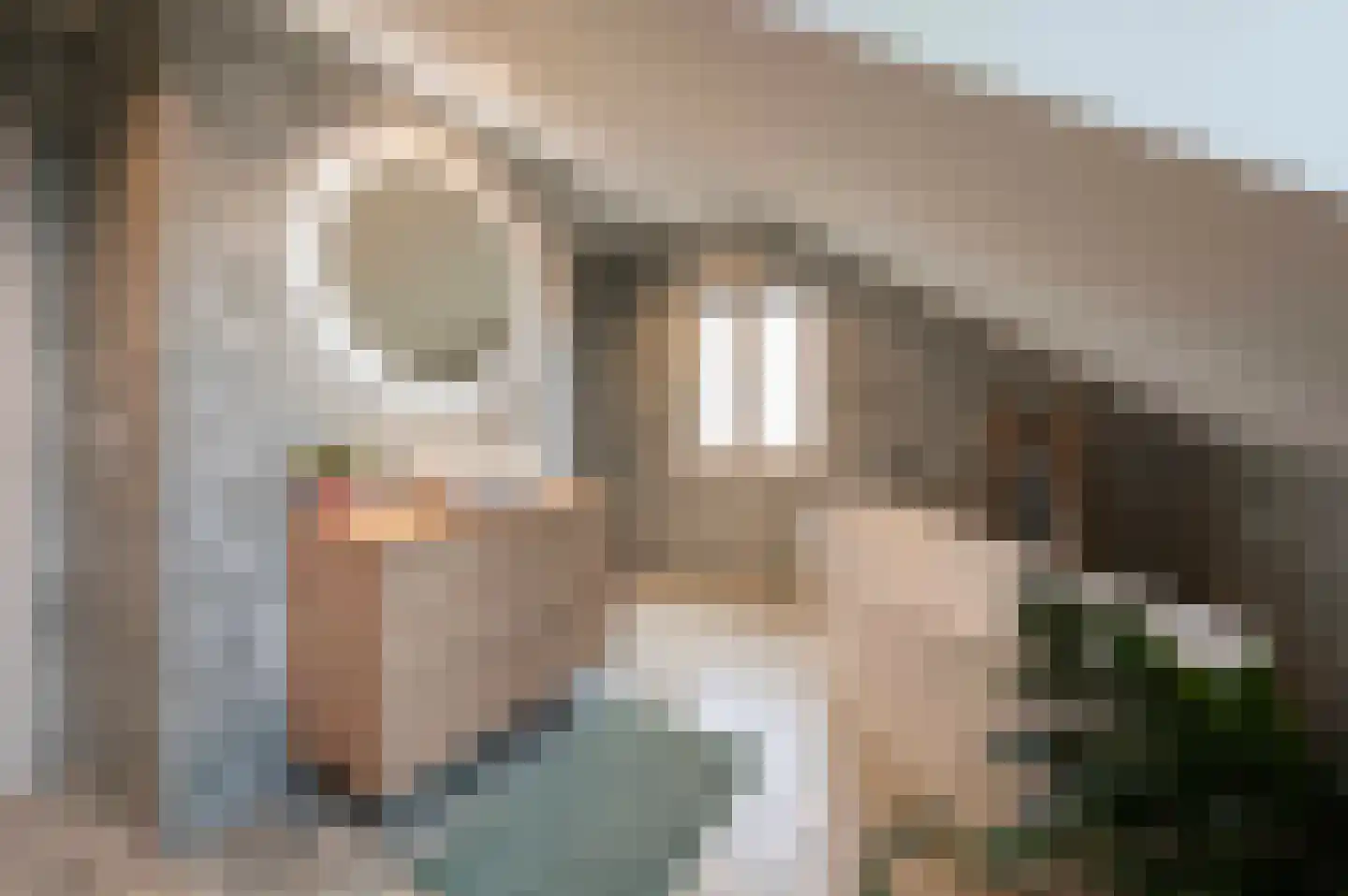 Onze Lieve Vrouwestraat 171 Zegge thumbnail 33
