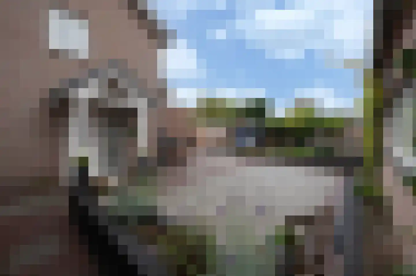 Onze Lieve Vrouwestraat 171 Zegge thumbnail 8