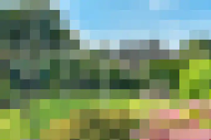 Onze-Lieve-Vrouwestraat 2 Landgraaf thumbnail 17