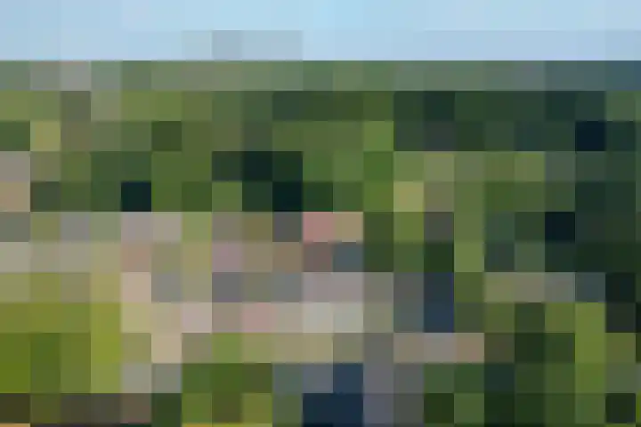 Onze-Lieve-Vrouwestraat 2 Landgraaf thumbnail 21